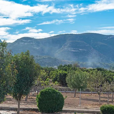 Orange Blossom Unique *