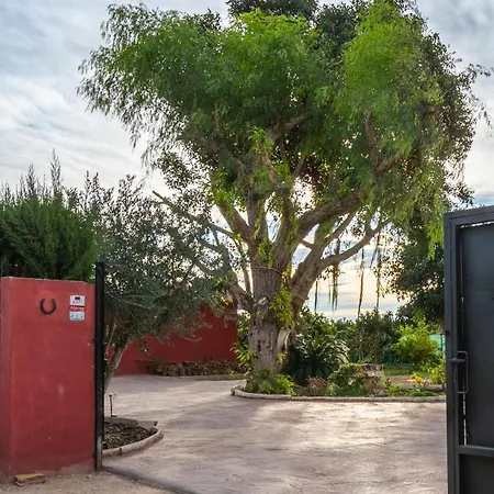 公寓 Orange Blossom Unique *