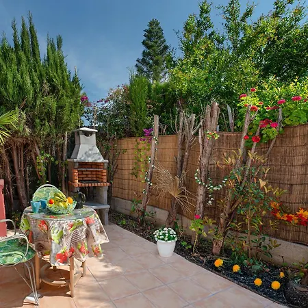 Orange Blossom Unique * 瓦伦西亚